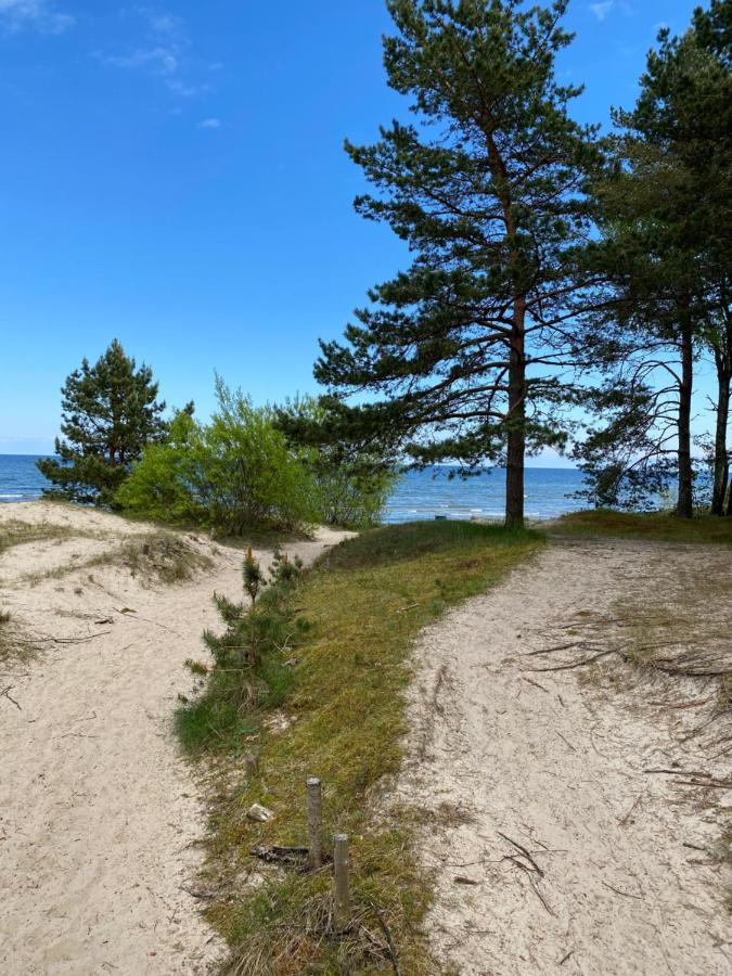 Brivdienu Maja Riekstnieki Plieņciems エクステリア 写真